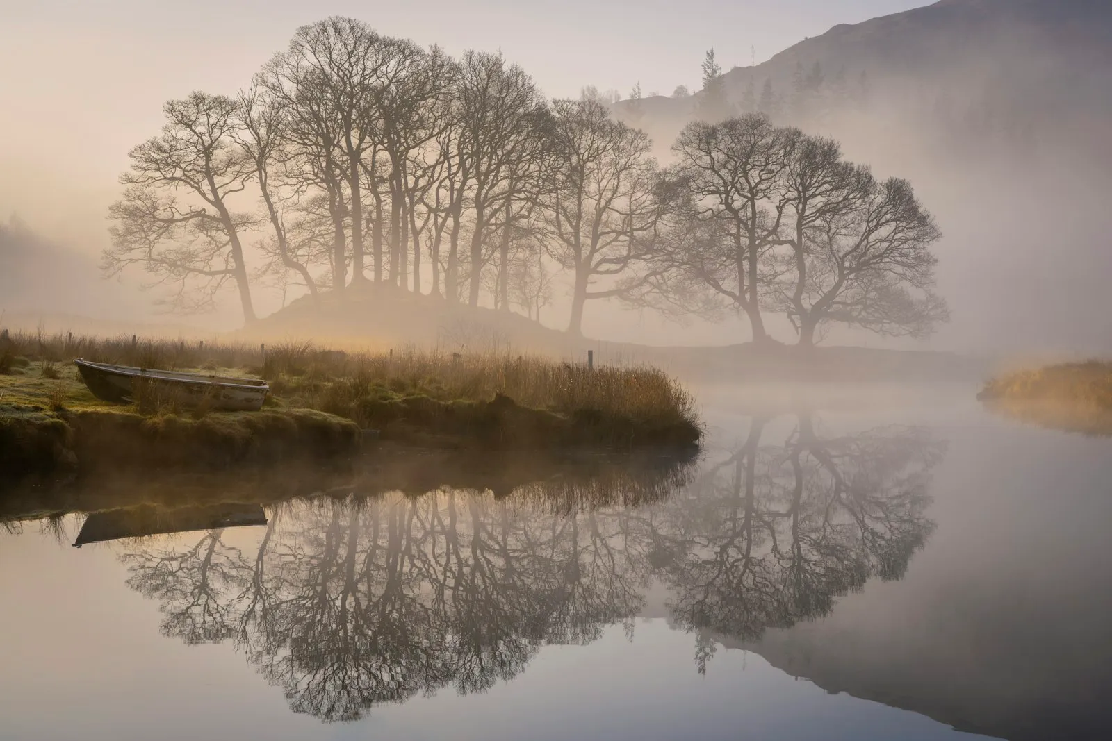 Misty river at dawn with trees reflected
