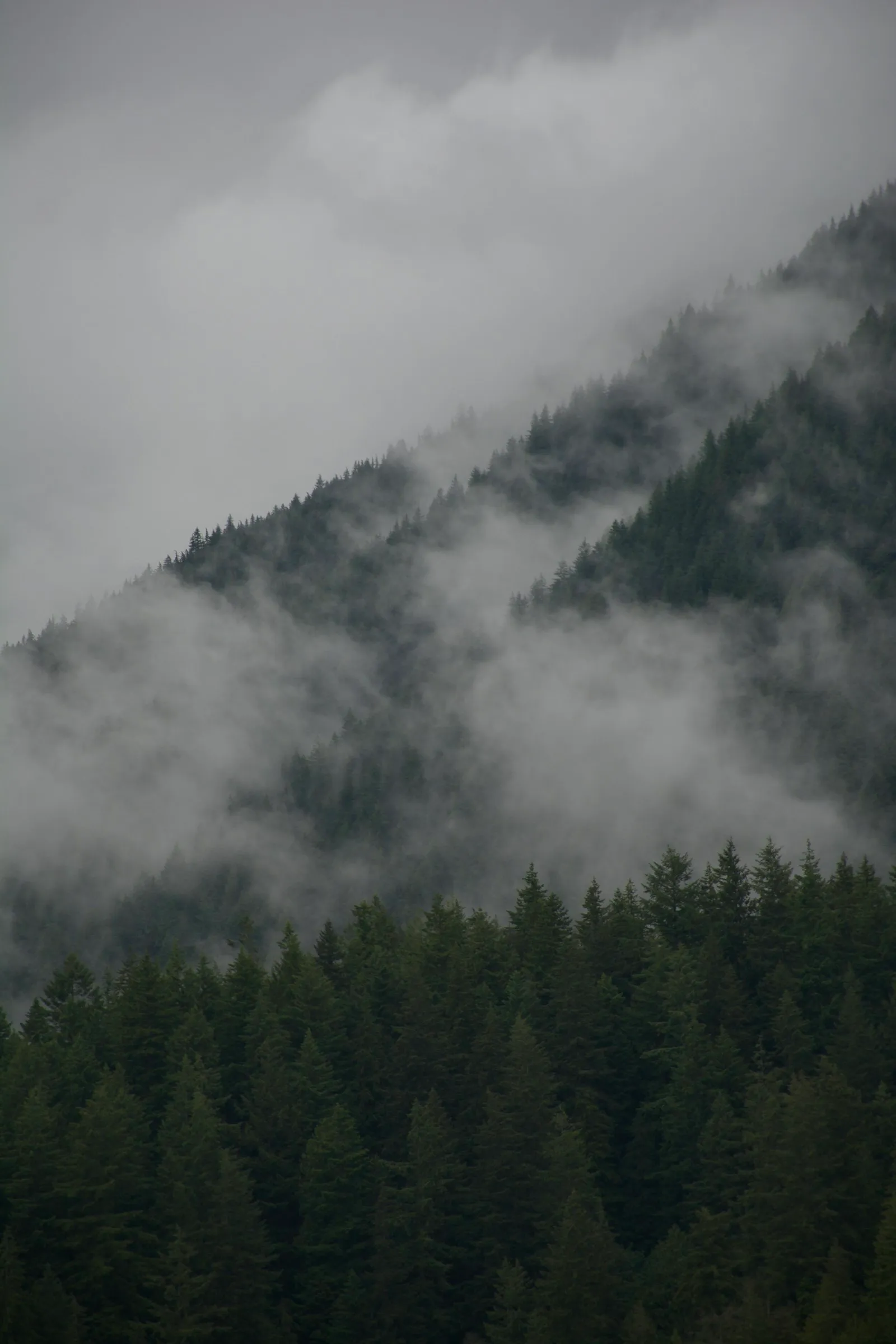 Fog over a mountain