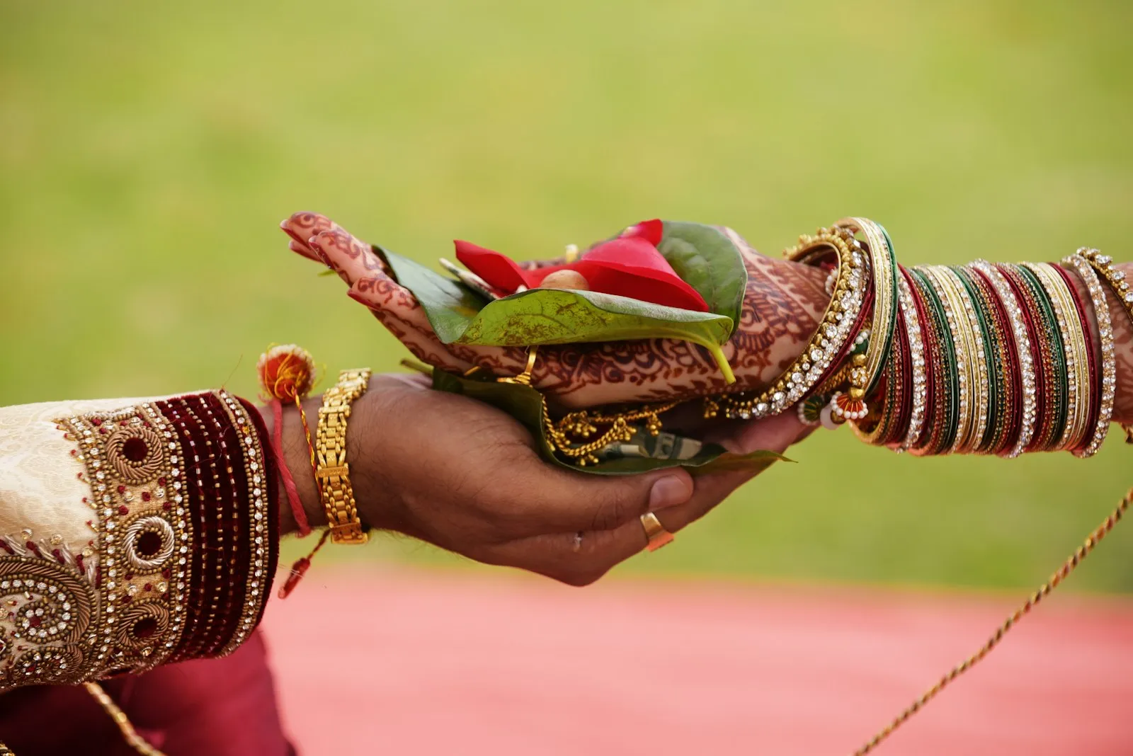 Hands holding red roses